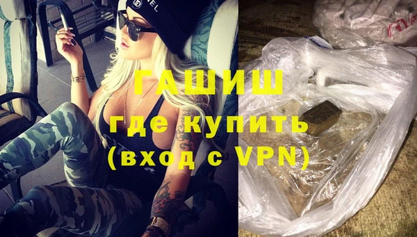 индика Бородино