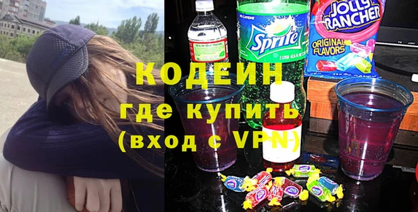 крисы Богородицк