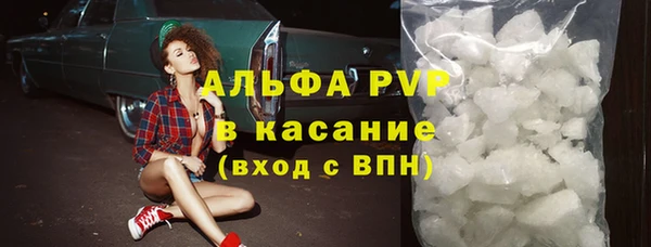 spice Богданович