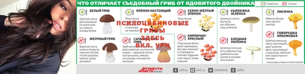 крисы Богородицк