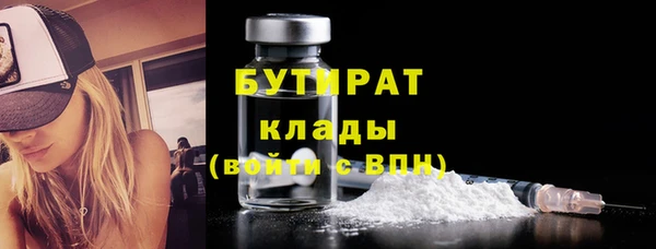 индика Бородино