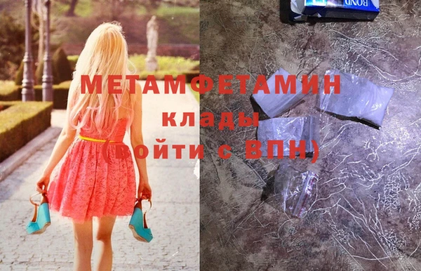 индика Бородино