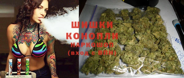 индика Бородино