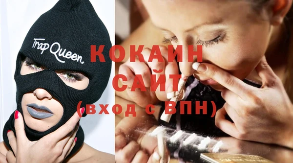 крисы Богородицк