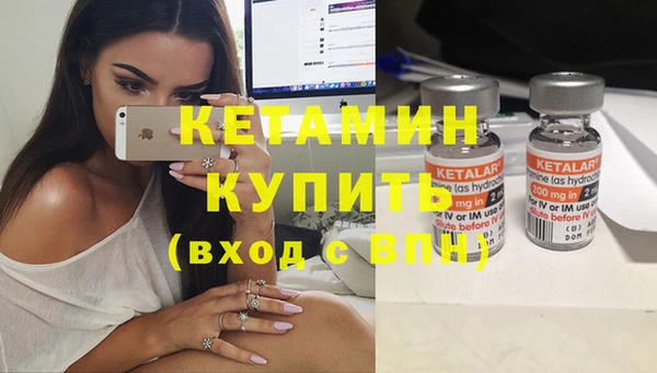 индика Бородино