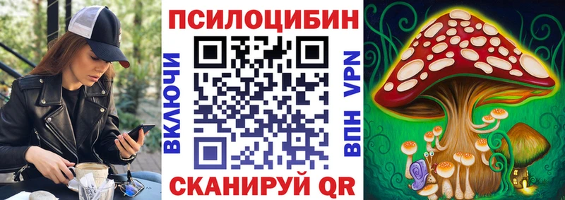 Псилоцибиновые грибы Cubensis Городище